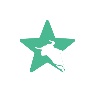 all-star-wite-V2